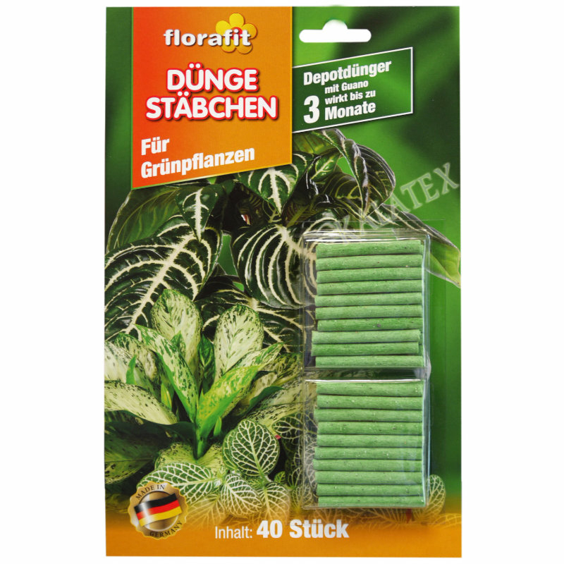 philodendron werneri Philodendron werneri