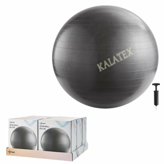 Fitnessball mit Pumpe