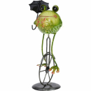 Frosch auf Fahrrad