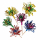 Eisdekoration Chrysanthemen-Picker 50er