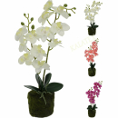 Kunstblume Orchidee 40cm
