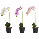 Kunstblume Orchidee 40 cm im Topf