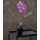 Kunstblume Orchidee 40 cm im Topf