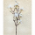 Kunstblume Kirschblütenzweig weiß 69cm