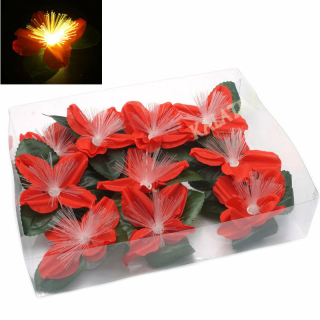 Weihnachtsstern mit LED 11x6cm