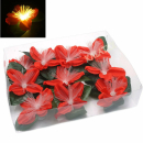 Weihnachtsstern mit LED 11x6cm
