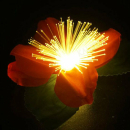 Weihnachtsstern mit LED 11x6cm