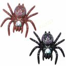 Spinne