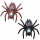 Spinne