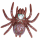 Spinne