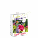 Geschenktasche Geburtstag "Herzlichen Glückwunsch" medium