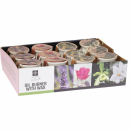 Duftlampe Keramik mit Duftwachs