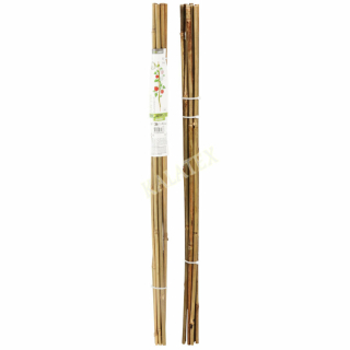 Pflanzstab Bambus 78 cm, 10er