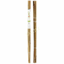 Pflanzstab Bambus 78 cm, 10er