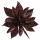 Blumen Clip Glitter